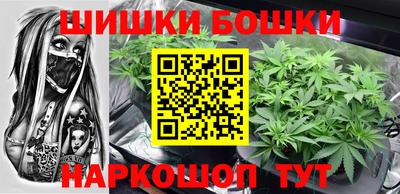 прущие грибы Владикавказ