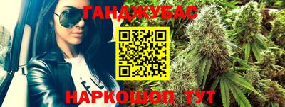 прущие грибы Владикавказ